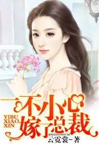 一不小心嫁了总裁txt叶挽宁