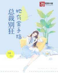 总裁别闹