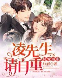 凌先生的心头宝全文免费时妩