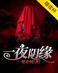 一夜什么意思?