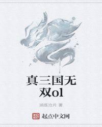 真三国无双ol逝De天子