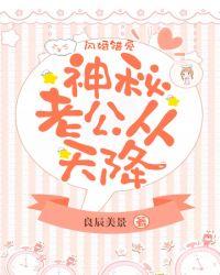 神秘老公从天降