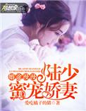 婚途漫漫陆少蜜宠娇妻百度