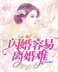 闪婚容易离婚难盛启琛63