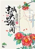 京城头号绯闻 百度