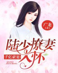 撩妻入怀陆少宠妻很强势免费阅读