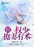 盛爱绝宠权少撩妻有术全文免费阅读