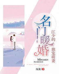 江少的宠妻指南
