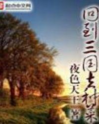 回到三国做