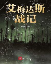 艾梅达专属武器 aoe