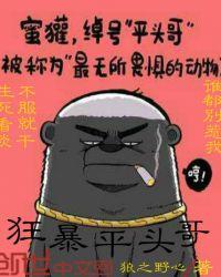 平头哥打斗视频