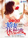 军门霸宠骄妻怀里来