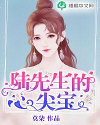 陆先生的心上人