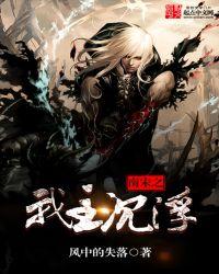 南宋之我主沉浮顶点