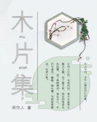 木片集怎么配音