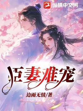 臣妻简介