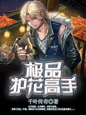 极品护花高手全集阅读