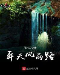 葬风雪是什么意思