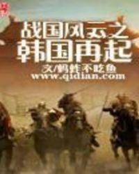 战国风云之韩国再起在线观看免费