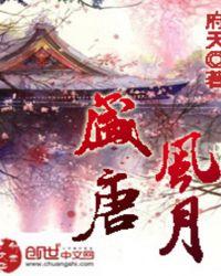 盛唐风月全文阅读