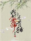 我的老师是首辅内容讲什么的