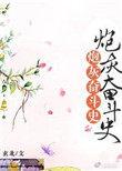 炮灰奋斗史清