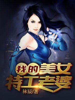 我的美女老婆是特工
