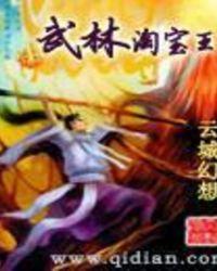 武林宝贝多少钱