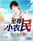 至尊小农民续集有声