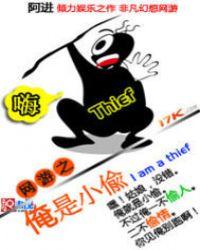 网游之神偷无敌