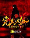 完美遮天等级官方解释