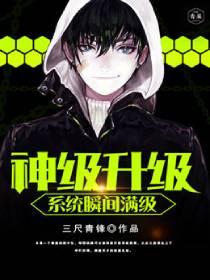 神级升级系统瞬间满级全文免费阅读