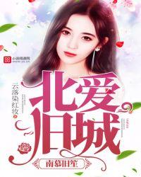 顾北城秦南笙北爱旧城