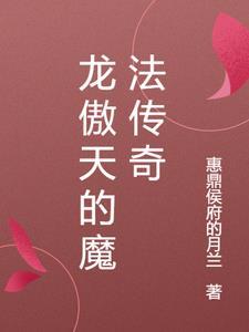 龙傲天技能