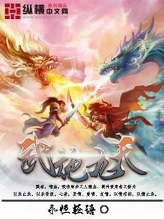 武绝九天叶南