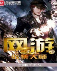 网友之收集大师