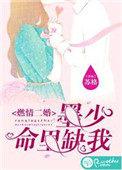 墨少宠妻如命