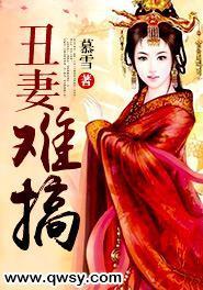 丑妻难搞简介