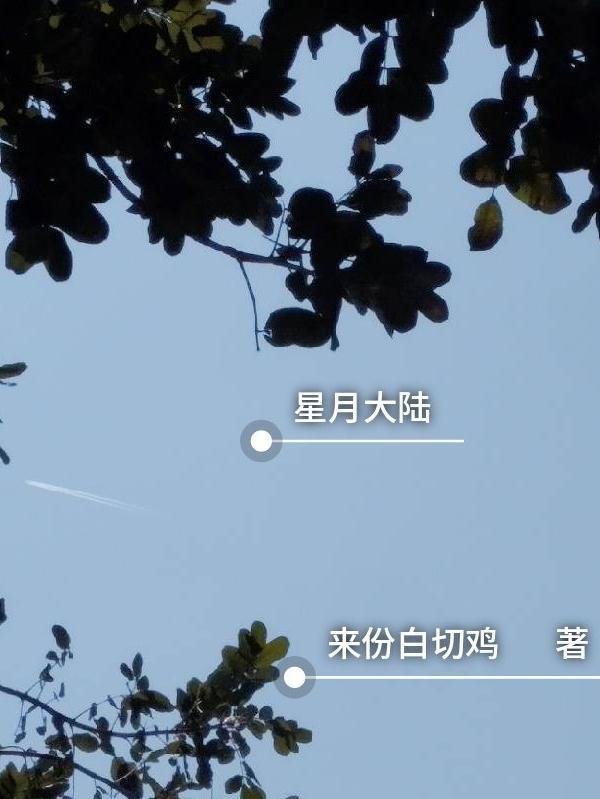 星月大陆搬砖能挣钱吗