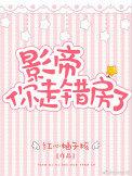 影帝你走错房了txt百度