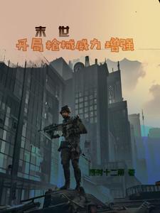 末世主角以枪为武器的