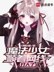 魔法少女顺着网线打人了免费阅读