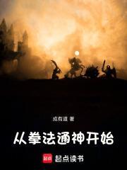从拳法大成开始
