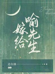 嫁给何先生