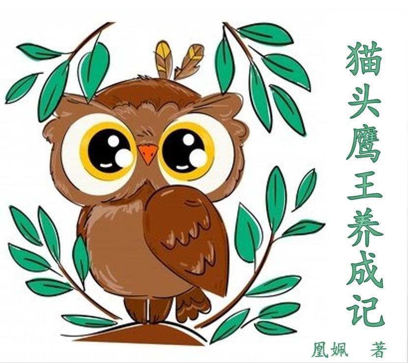 猫头鹰王国13简介