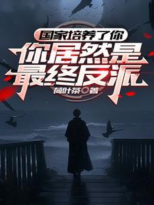 我潜伏在官方内部