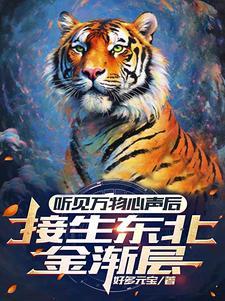 金渐层猫猫