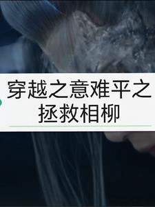 穿越拯救意难平的