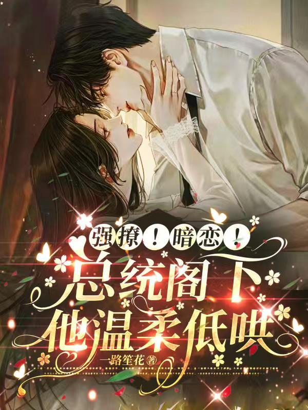 总统阁下太深情全文阅读
