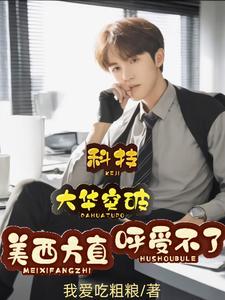 美国 量子
